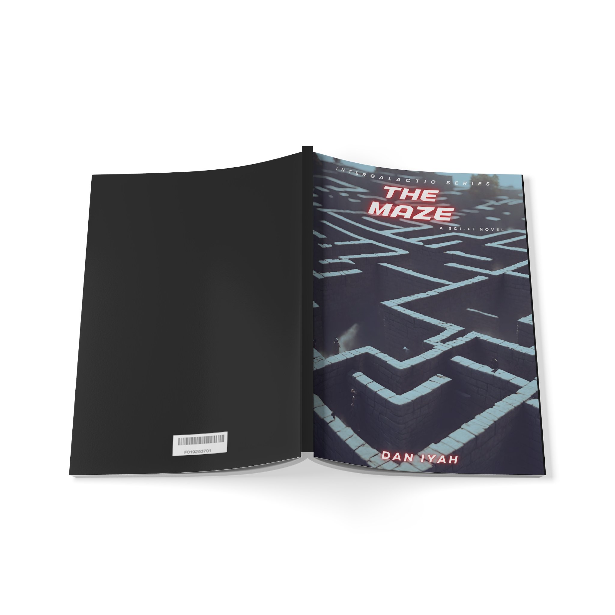 The Maze Cover